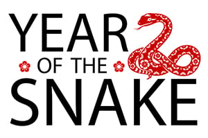 Text staing The Year of the Snake with a red snack graphic